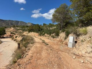 Terreny residencial a Crevillente. Parcela en venta en crevillent.