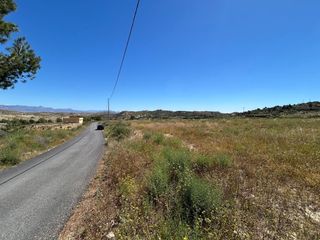Terreno residenziale in Crevillente