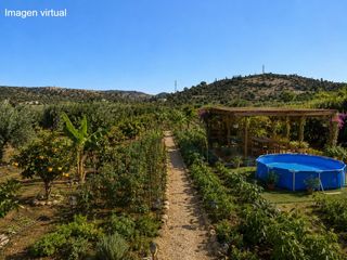 Terreny residencial a Crevillente. Parcela en venta en campo.
