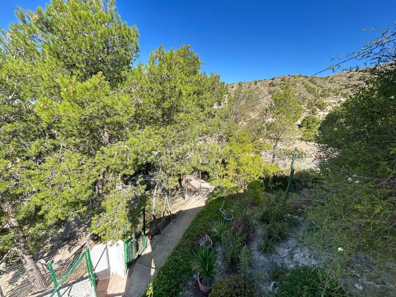 Foto f0663b17-be11-4853-b81c-9f2a1e991d1e. Chalet mit pool in Crevillente