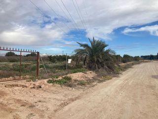 Terreny residencial a Crevillente