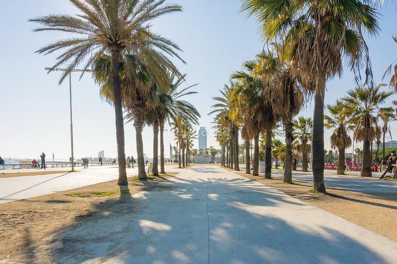 Foto ca37d435-3f33-4736-bc9f-2a1060a0dacf. Penthouse with heating parking in Poblenou Barcelona