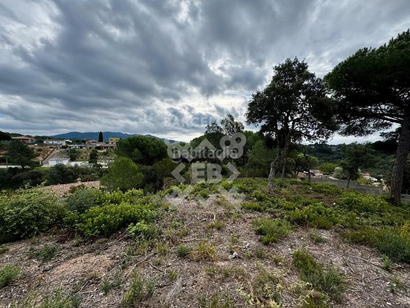Foto ee6ef1ad-dba2-4c41-9228-083e39c117c2. Residential plot in Lloret Verd - Els Pinars Lloret de Mar