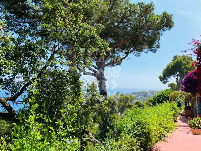 Foto a5e0b106-7300-4fac-b1c3-c26780b9fcad. Casa amb calefacció aparcament piscina a Santa Maria de Llorell Tossa de Mar