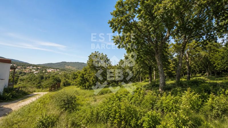 Foto 954a0f9e-092a-4810-9d40-aa1980e39951. Terreny residencial a Lloret Verd - Els Pinars Lloret de Mar