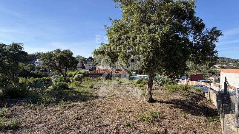 Foto f21337a3-21d9-4427-8811-c4ecc52fdb5c. Terreny residencial a Lloret Verd - Els Pinars Lloret de Mar