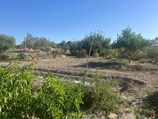 Country house in El Rocío - La Milagrosa. Finca rúst. en venta en estella del márquez.