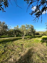 Masia a Parque Atlántico - Ronda este. Finca rúst. en venta en pedanías.