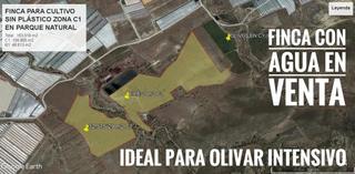 Propriété à San Isidro - Campohermoso. Finca para olivos de regadío - 10´5 hectáreas