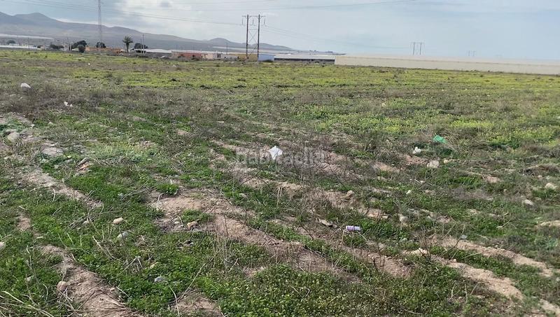 Foto e100b8e9-4c7f-49e5-a1e0-907dec69794d. Finca rústica en San Isidro - Campohermoso Níjar