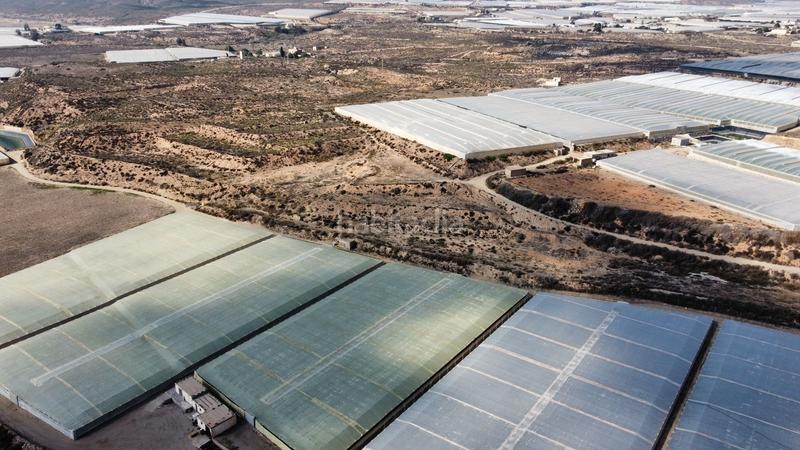 Foto 82e2bf0f-a0c3-49f0-baec-98ae06d3a4a3. Finca rústica a Pozo de los Frailes-Presillas-Albaricoques Níjar