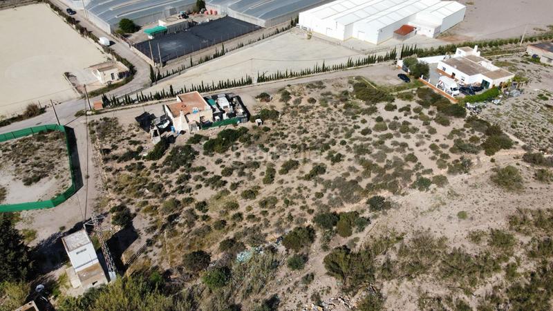 Foto aa184a99-436b-413f-adaa-6a313098f453. Mas dans calle los morenos 13 dans San Isidro - Campohermoso Níjar