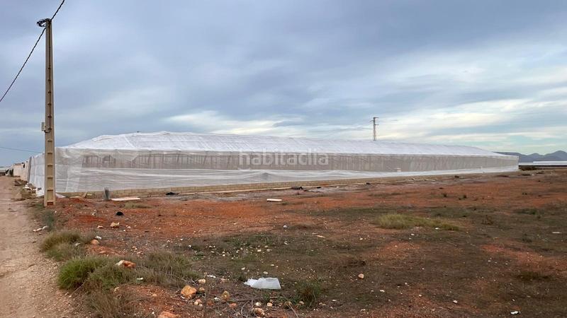 Foto 7ffe56ab-4c30-40bc-93b2-85f267ae94bc. Fabrikhalle in Retamar Almería