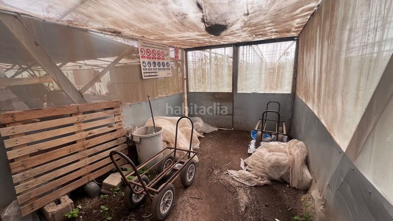Foto 41e814fd-c0d8-4eb2-be44-594206c57d4f. Finca rústica en calle atarazanas de Cabo de Gata 27 invernadero almería en Cabo de Gata