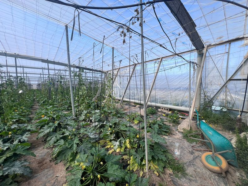 Foto d2620b94-4d90-4a89-8a61-dbfafc89db3a. Finca rústica en calle atarazanas de Cabo de Gata 27 invernadero almería en Cabo de Gata