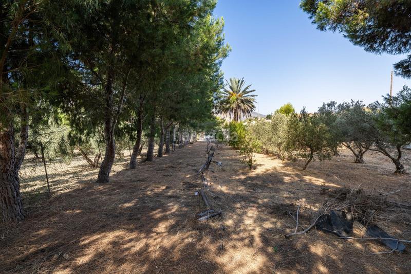 Foto 2819d7e6-9bc8-42e8-b104-933e785bca9f. Masía se vende casa con terreno en alhabía en Alhabia