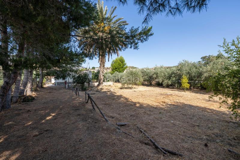 Foto 6b0c1e0b-0f27-4839-a9a7-926feaad3333. Masía se vende casa con terreno en alhabía en Alhabia