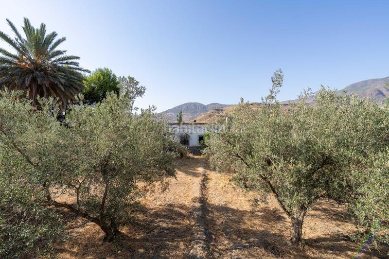 Foto 6b72d0de-3ff2-4daf-acbd-a223a3d350ad. Masía se vende casa con terreno en alhabía en Alhabia