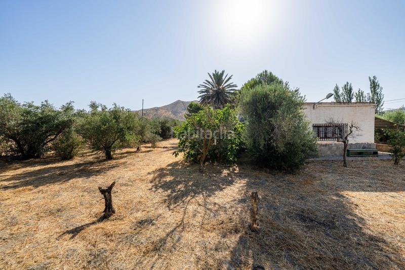 Foto aa5532dd-f7a1-4d12-956d-f914e3f9ed73. Masía se vende casa con terreno en alhabía en Alhabia