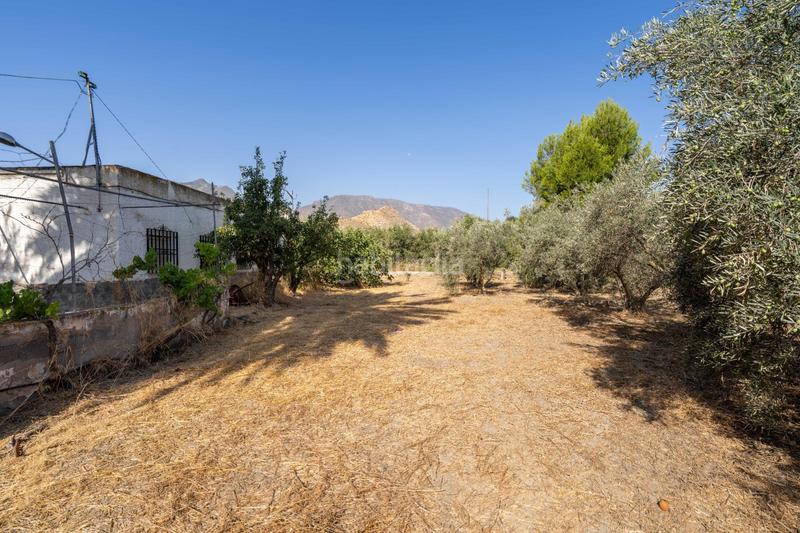 Foto b74602da-28b6-47da-9baa-e837d7ff0bff. Masía se vende casa con terreno en alhabía en Alhabia