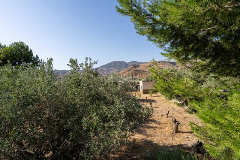 Foto b76b60f1-59f3-4f9d-8eae-e62cfcdde732. Masía se vende casa con terreno en alhabía en Alhabia