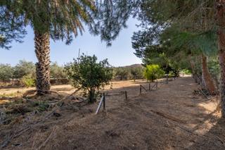 Masia  Carretera diseminados. Se vende casa con terreno en alhabía
