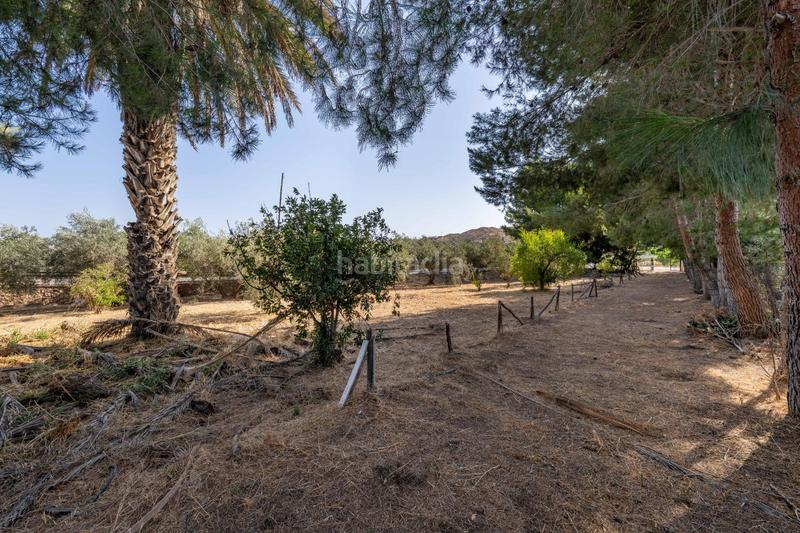 Foto e4004c26-5a4e-43c7-bfa0-94d15951017e. Masía se vende casa con terreno en alhabía en Alhabia