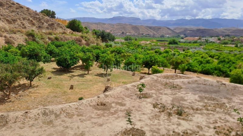 Foto 52a61b1d-6b2b-48f8-ae78-203634593872. Finca rústica se vende finca rústica y frutales en moscolu gador en Gádor