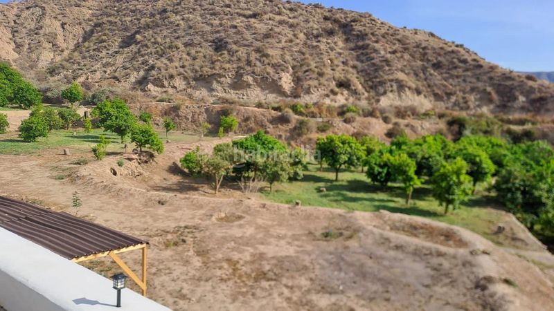 Foto ae7235b4-ecf2-4443-90a1-07ce7a62bb43. Finca rústica se vende finca rústica y frutales en moscolu gador en Gádor