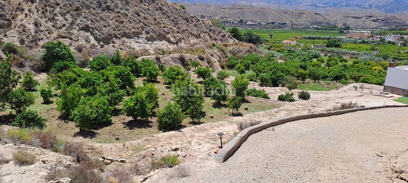 Foto cd3b40fd-4d92-44d0-be4c-036146fcec39. Finca rústica se vende finca rústica y frutales en moscolu gador en Gádor