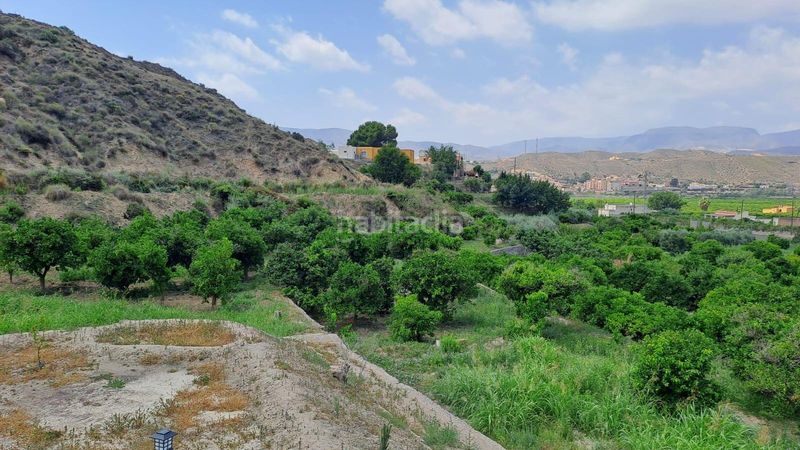 Foto fb7e025f-c157-492a-96fc-c4a4f0fbbcb7. Finca rústica se vende finca rústica y frutales en moscolu gador en Gádor