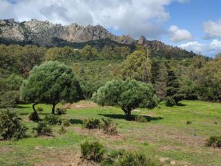 Landgut in Facinas