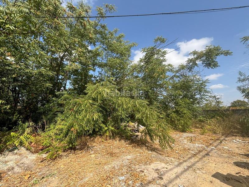 Foto 094a0926-c36c-48df-aef6-075c81dd6741. Chalet mit heizung parking pool in Oromana Alcalá de Guadaira