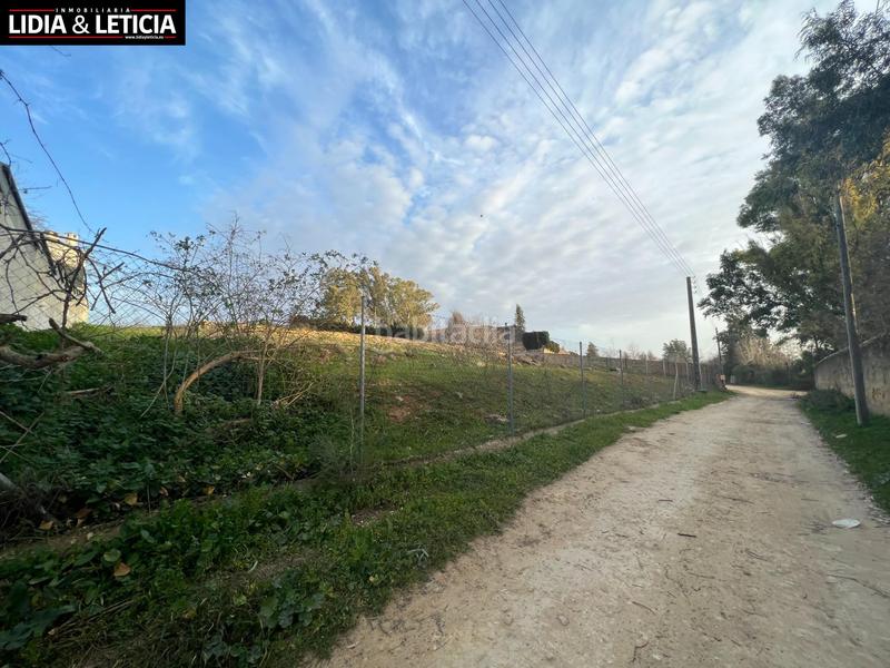 Foto 4dbd5fa2-7f97-4d6b-9e1b-83685206721a. Finca rústica suelo agrario en huerta el cura en Nueva Alcalá Alcalá de Guadaira