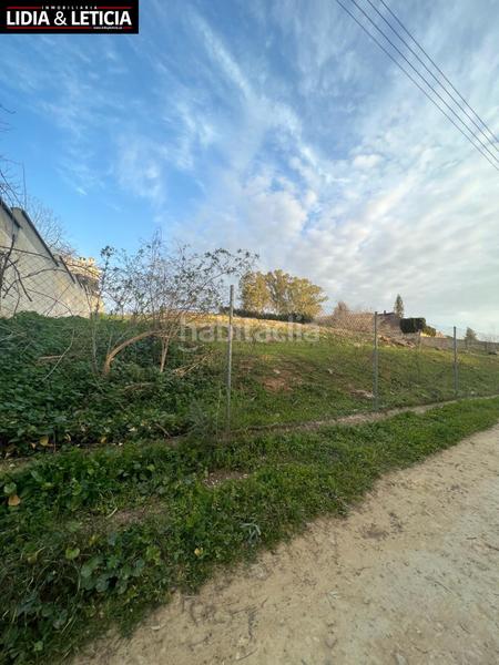 Foto 5867a9d4-47d1-47f3-9acd-9336a66852a5. Finca rústica suelo agrario en huerta el cura en Nueva Alcalá Alcalá de Guadaira