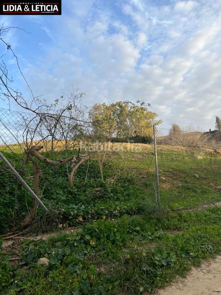 Foto 9d973ab8-32d1-49b3-8697-77c147caf8e5. Finca rústica suelo agrario en huerta el cura en Nueva Alcalá Alcalá de Guadaira