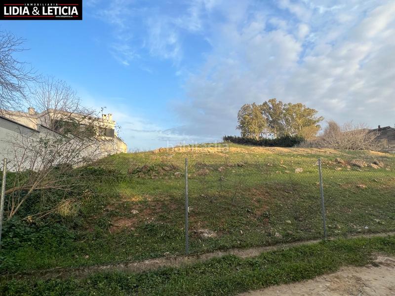 Foto ac63e92a-fb14-48da-a065-ca4d13a77500. Finca rústica suelo agrario en huerta el cura en Nueva Alcalá Alcalá de Guadaira