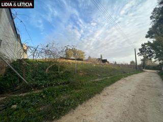 Finca rústica a Nueva Alcalá. Suelo agrario en huerta el cura