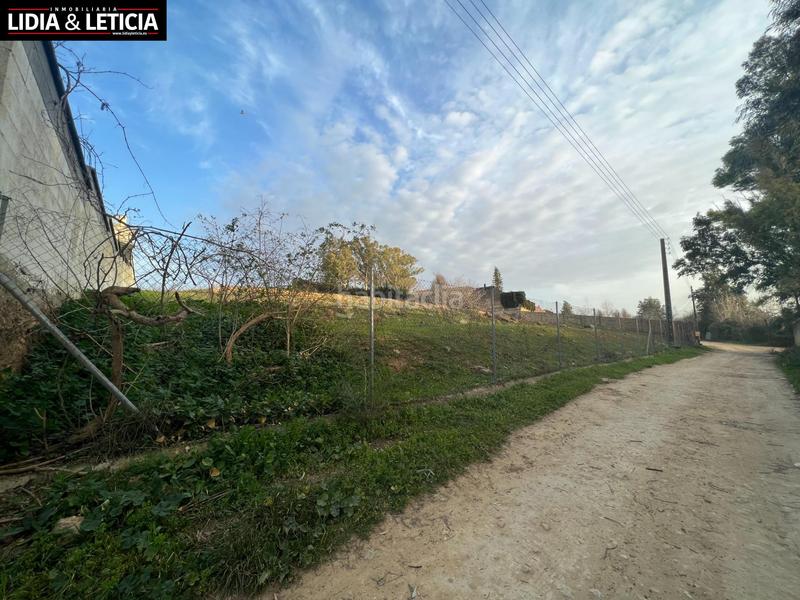 Foto b9a5621a-c331-4b25-a524-5fffcc7b3816. Finca rústica suelo agrario en huerta el cura en Nueva Alcalá Alcalá de Guadaira
