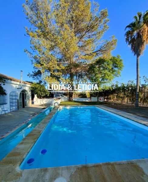 Foto 28d373b3-25b3-4790-8084-6b59ccbd057e. Xalet amb piscina a Viso del Alcor (El)