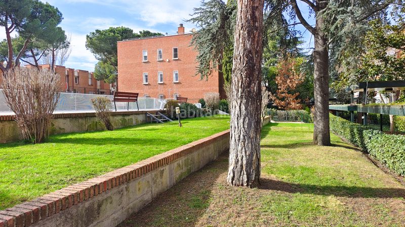 Foto 11f1714c-9083-4ab9-a7fc-826a10821873. Pis a calle de las camelias 9 a Palomas Madrid