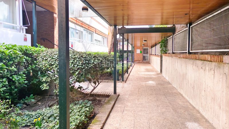 Foto 7d54e018-3d53-457d-8487-37cb188ffa81. Pis a calle de las camelias 9 a Palomas Madrid