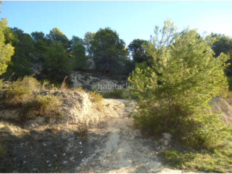 Foto fe18fd8e-12c0-40ff-85d0-80deedaa4d26. Finca rústica a Foietes Benidorm
