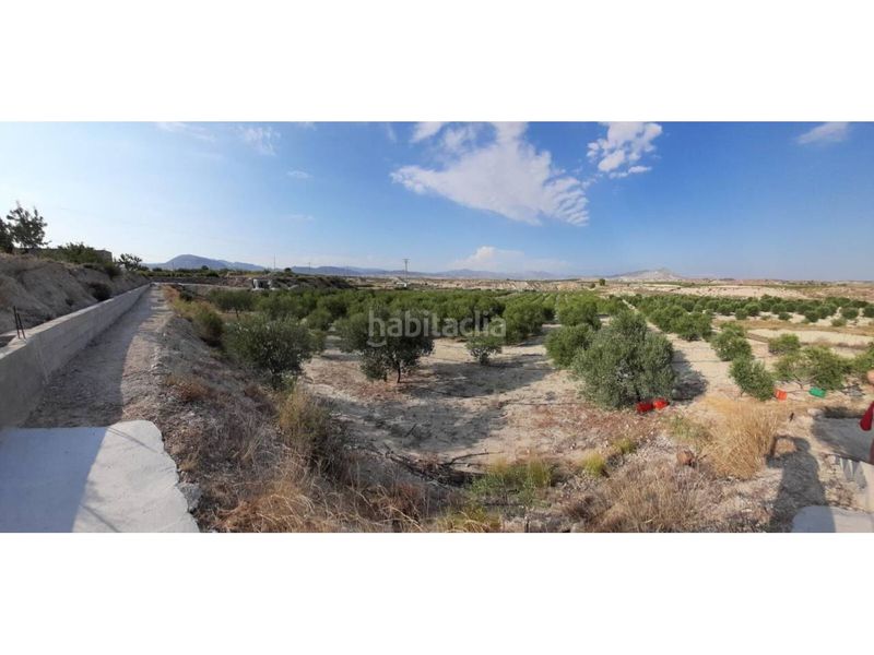 Foto 17fc97cd-1df2-4751-8493-f71d3bc067e4. Finca rústica a Fortuna