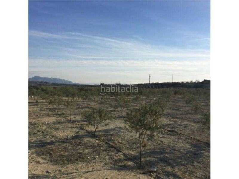 Foto 4a148e1e-1605-42b3-b86f-5fe463353f92. Finca rústica a Fortuna
