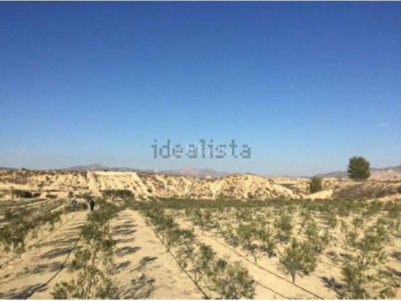 Foto 8bd7ce2a-c69d-4787-9884-b9d60d786ced. Finca rústica a Fortuna