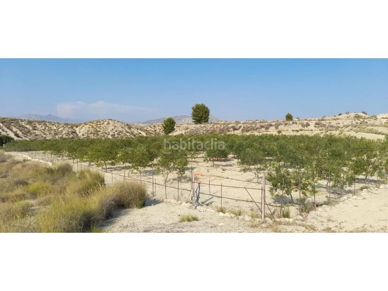 Foto e73310d0-9e9c-44a0-9dbf-9b9d49524355. Finca rústica a Fortuna