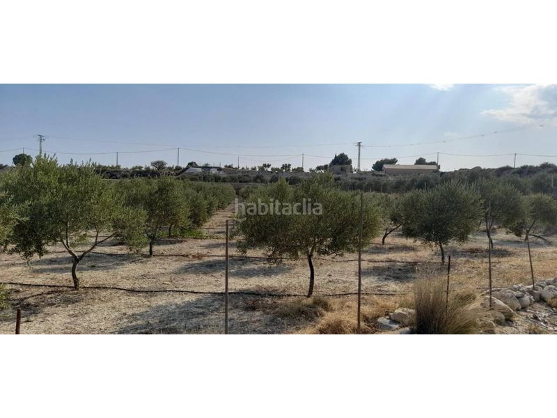 Foto e9b55d99-8294-43e4-b43f-b5ad6d7dd185. Finca rústica a Fortuna