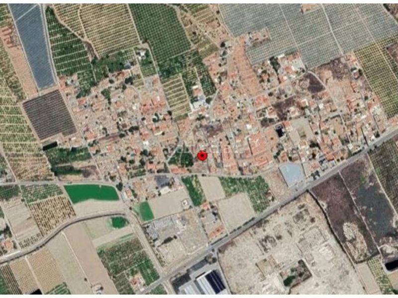 Foto aa264dff-ded5-4f07-8648-71e8cad6cfe1. Finca rústica a Montepinar - La Aparecida - Raiguero Orihuela