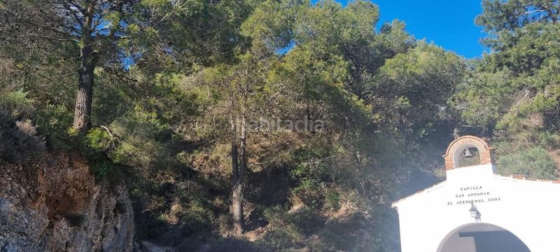 Foto cdb1b59d-4119-4117-aa2a-dc27ca365bdb. Casa adossada amb piscina a Cómpeta